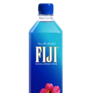 Fiji Bottle Water 16.9 FL OZ